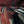 Blade Port Red Motorcycle Gloves