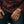 Clutch Cognac Brown Motorcycle Gloves
